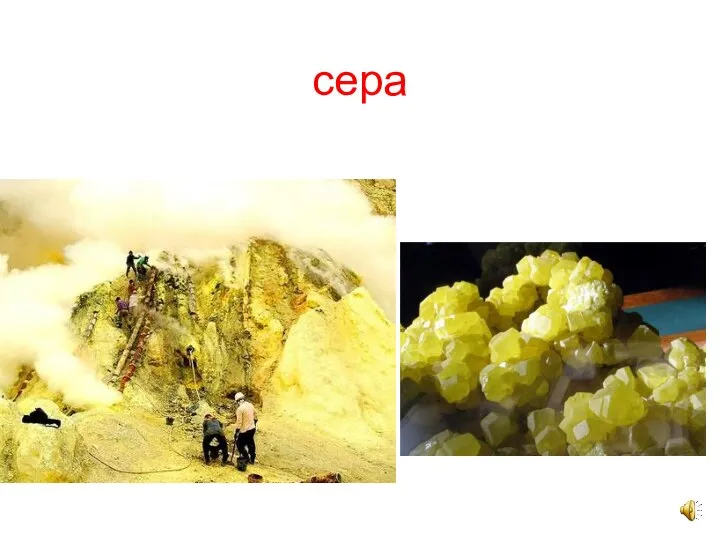 сера