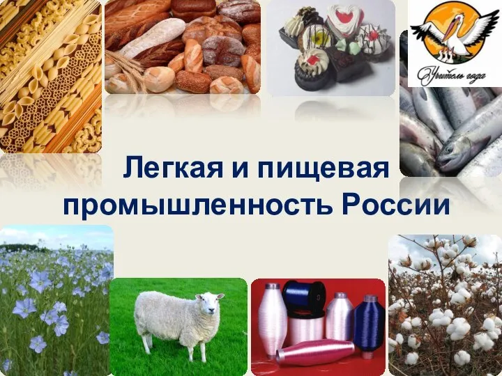 Легкая и пищевая промышленность России