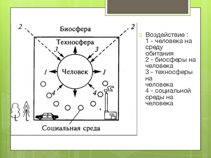 Воздействие : 1 - человека на среду обитания 2 - биосферы на