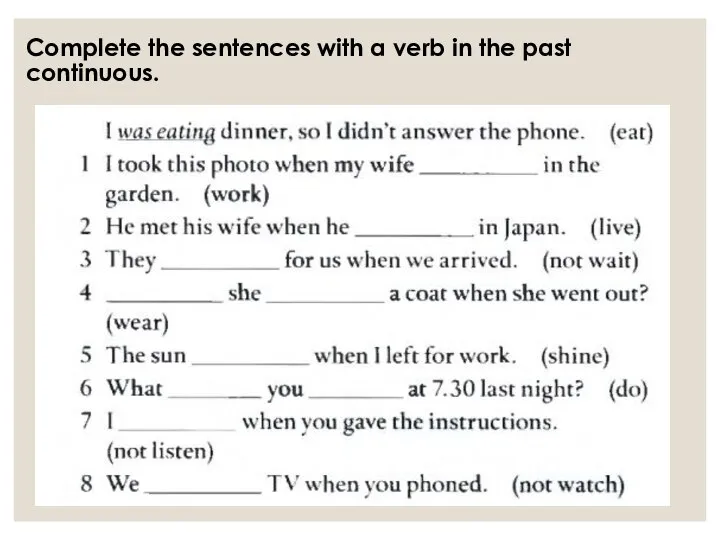 Complete the sentences with a verb in the past continuous.