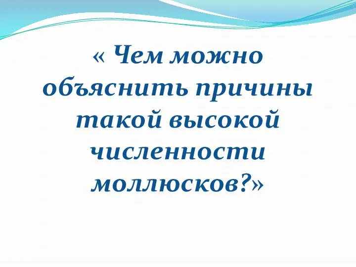 « Чем можно объяснить причины такой высокой численности моллюсков?»