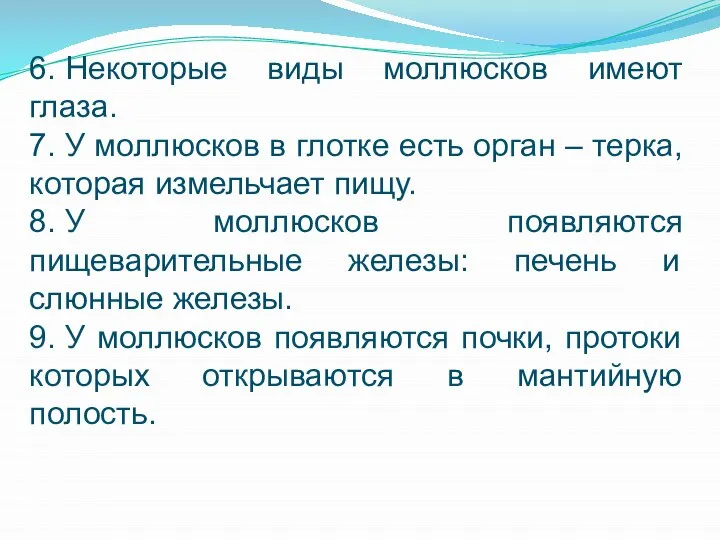 6. Некоторые виды моллюсков имеют глаза. 7. У моллюсков в глотке есть