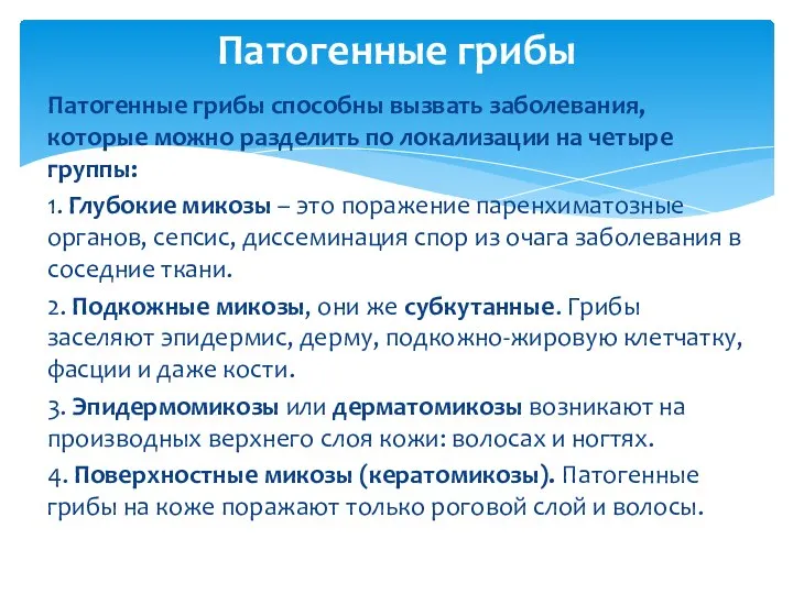 Патогенные грибы способны вызвать заболевания, которые можно разделить по локализации на четыре