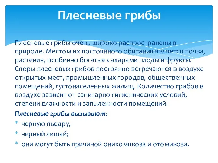 Плесневые грибы очень широко распространены в природе. Местом их постоянного обитания является