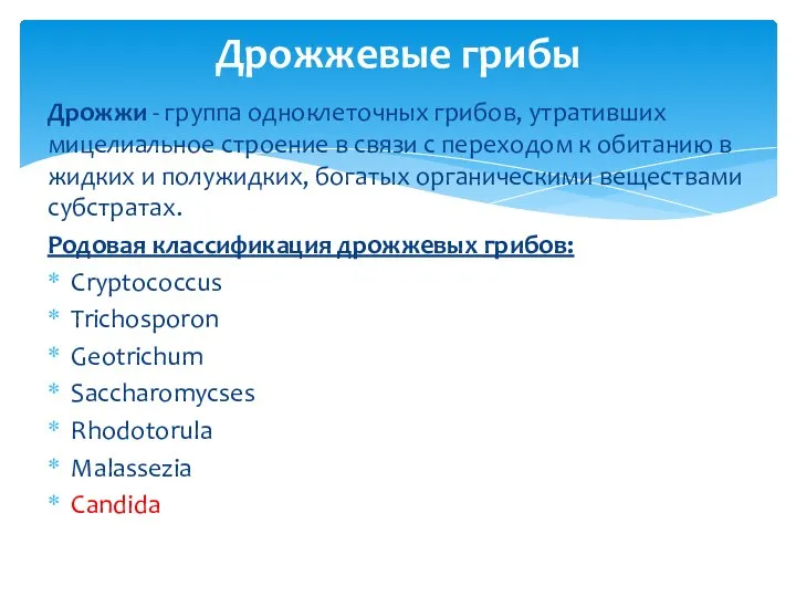 Дрожжи - группа одноклеточных грибов, утративших мицелиальное строение в связи с переходом