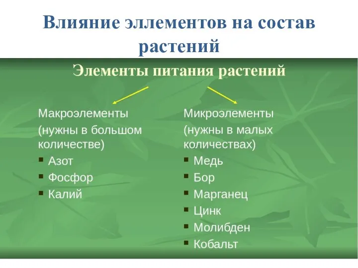 Влияние эллементов на состав растений