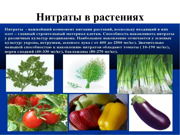 Нитраты в растениях