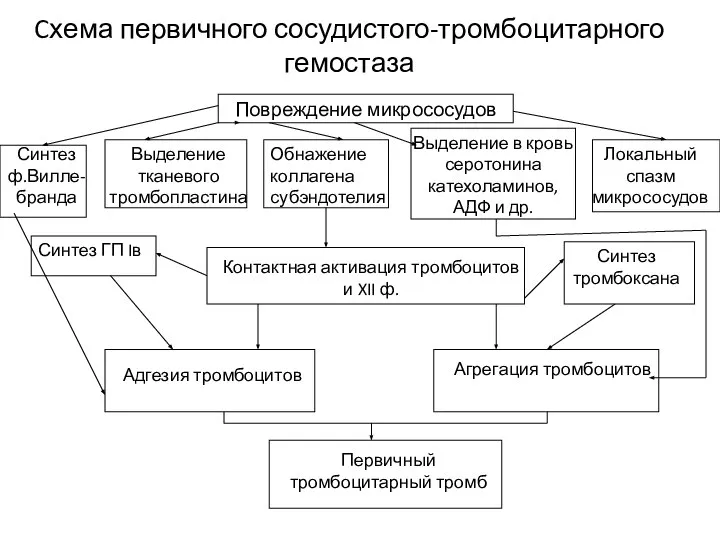 Cхема первичного сосудистого-тромбоцитарного гемостаза Повреждение микрососудов Синтез ф.Вилле-бранда Выделение тканевого тромбопластина Обнажение