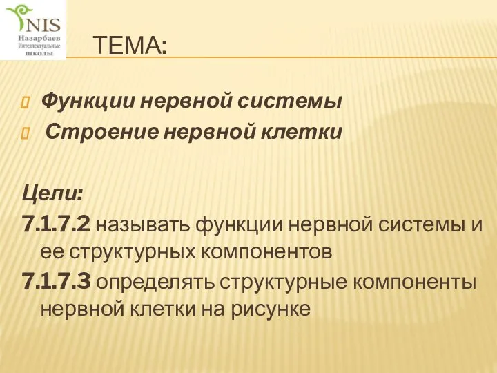 ТЕМА: Функции нервной системы Строение нервной клетки Цели: 7.1.7.2 называть функции нервной