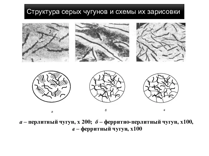 Структура серых чугунов и схемы их зарисовки а – перлитный чугун, х