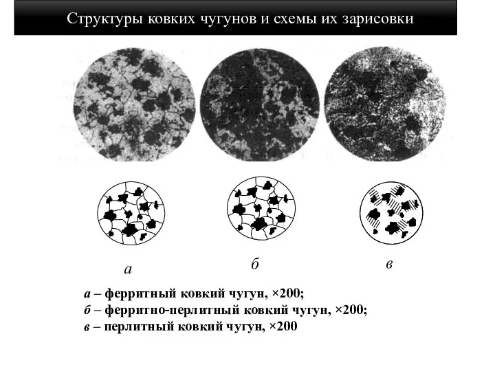 Структуры ковких чугунов и схемы их зарисовки а – ферритный ковкий чугун,