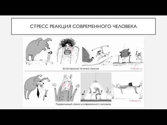 СТРЕСС РЕАКЦИЯ СОВРЕМЕННОГО ЧЕЛОВЕКА