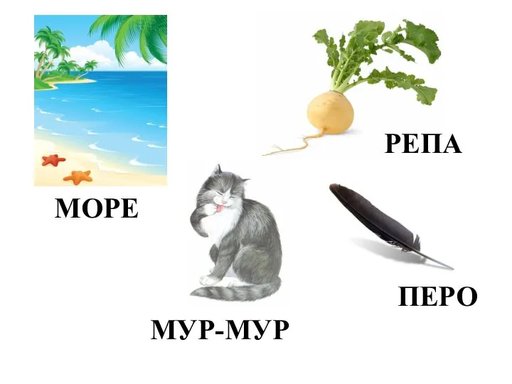 МОРЕ РЕПА ПЕРО МУР-МУР