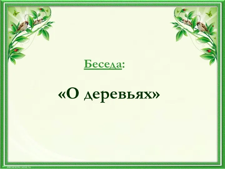 Беседа: «О деревьях»