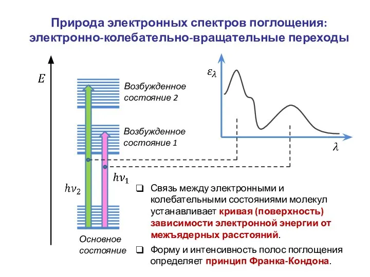 Природа электронных спектров поглощения: электронно-колебательно-вращательные переходы Основное состояние Возбужденное состояние 1 Возбужденное