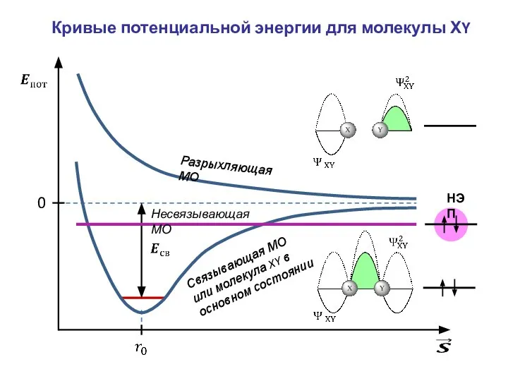 Кривые потенциальной энергии для молекулы ХY Связывающая МО или молекула XY в