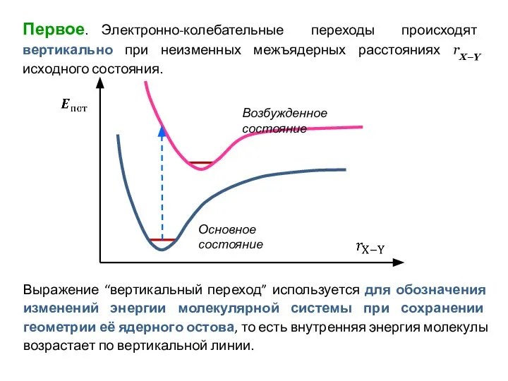 Первое. Электронно-колебательные переходы происходят вертикально при неизменных межъядерных расстояниях rX–Y исходного состояния.