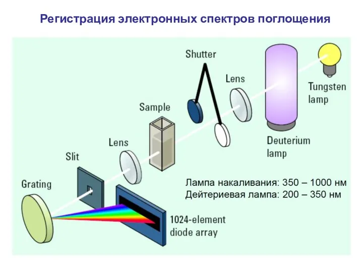 Регистрация электронных спектров поглощения