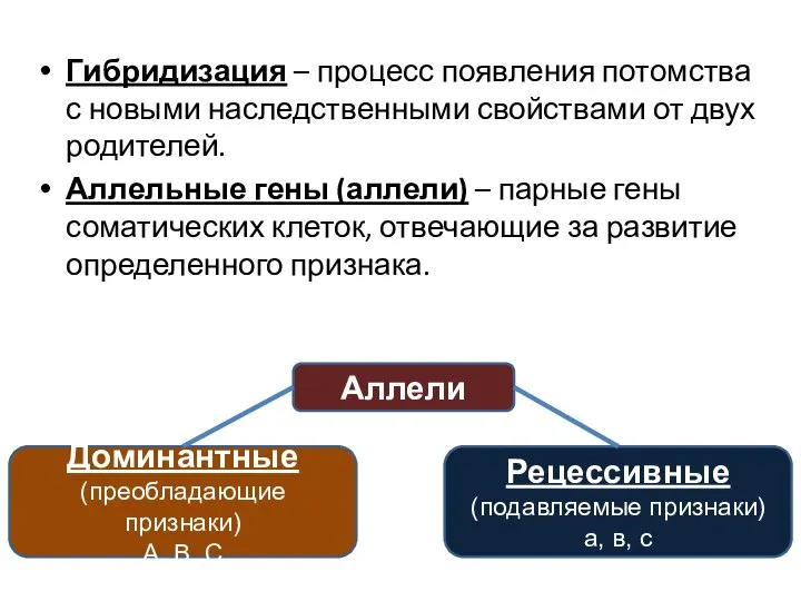 Гибридизация – процесс появления потомства с новыми наследственными свойствами от двух родителей.