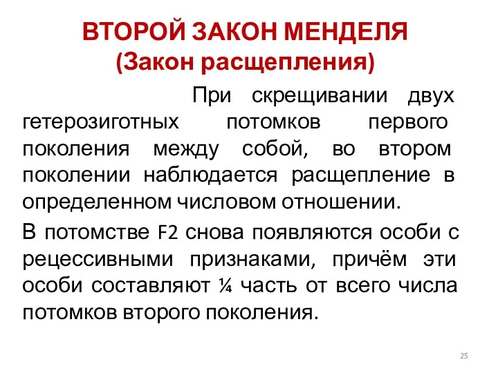 ВТОРОЙ ЗАКОН МЕНДЕЛЯ (Закон расщепления) При скрещивании двух гетерозиготных потомков первого поколения