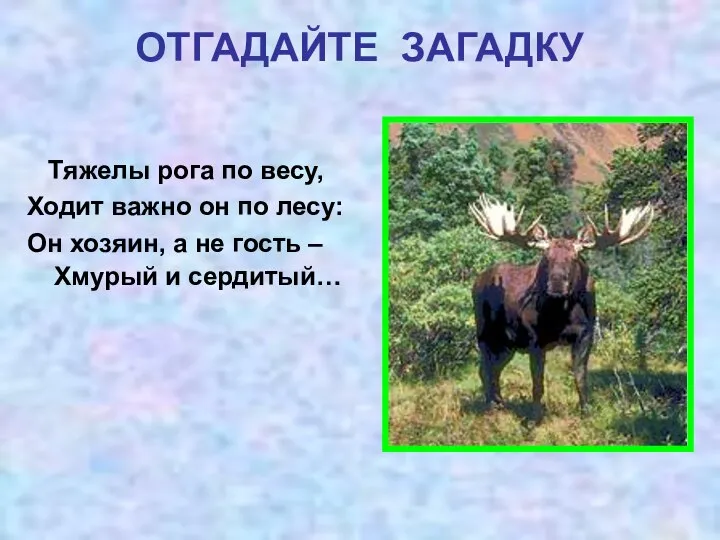 ОТГАДАЙТЕ ЗАГАДКУ Тяжелы рога по весу, Ходит важно он по лесу: Он