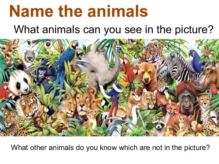 Name the animals What animals can you see in the picture? What