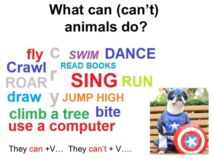 What can (can’t) animals do? They can +V… They can’t + V….