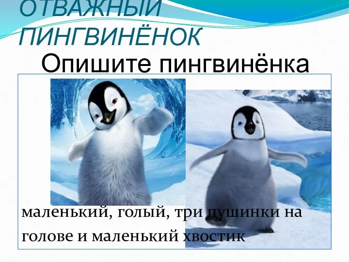 ОТВАЖНЫЙ ПИНГВИНЁНОК маленький, голый, три пушинки на голове и маленький хвостик Опишите пингвинёнка