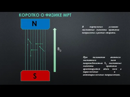 КОРОТКО О ФИЗИКЕ МРТ В нормальных условиях магнитные моменты протонов направлены в