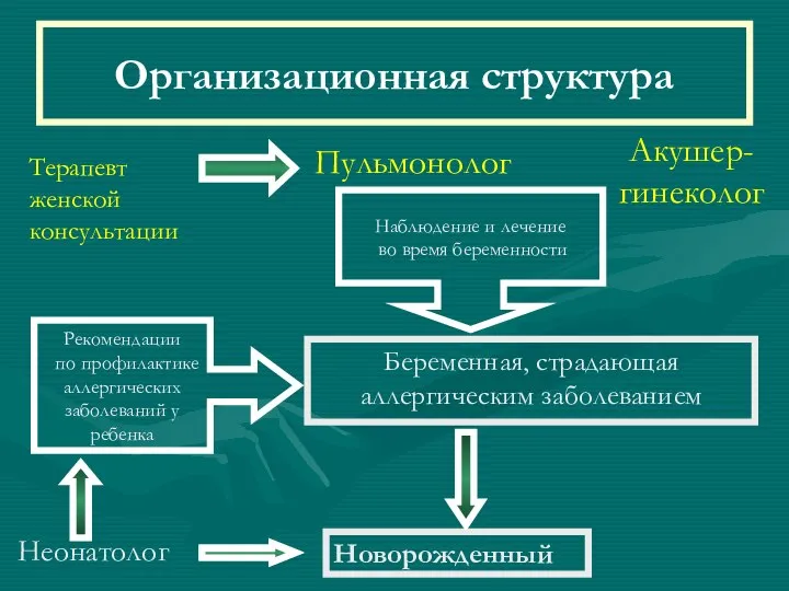 Организационная структура Беременная, страдающая аллергическим заболеванием Новорожденный Пульмонолог Акушер-гинеколог Наблюдение и лечение