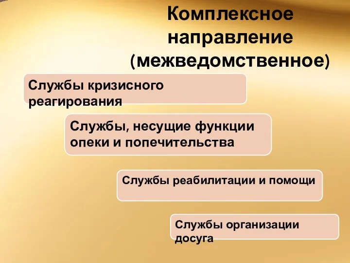 Комплексное направление (межведомственное) Службы реабилитации и помощи Службы организации досуга Службы, несущие