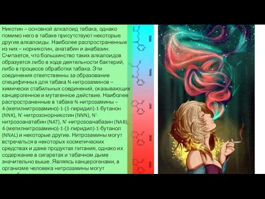 Никотин – основной алкалоид табака, однако помимо него в табаке присутствуют некоторые