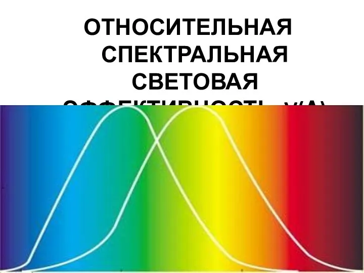 ОТНОСИТЕЛЬНАЯ СПЕКТРАЛЬНАЯ СВЕТОВАЯ ЭФФЕКТИВНОСТЬ V(Λ)