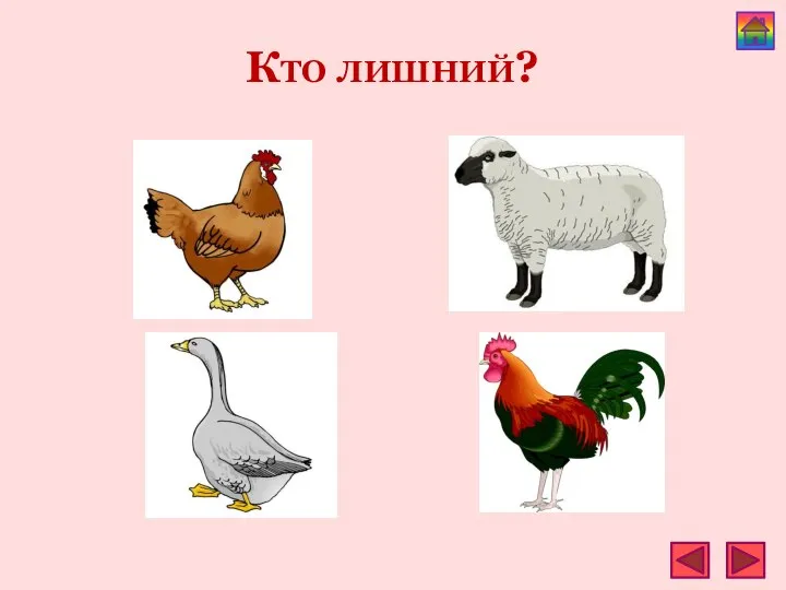 Кто лишний?