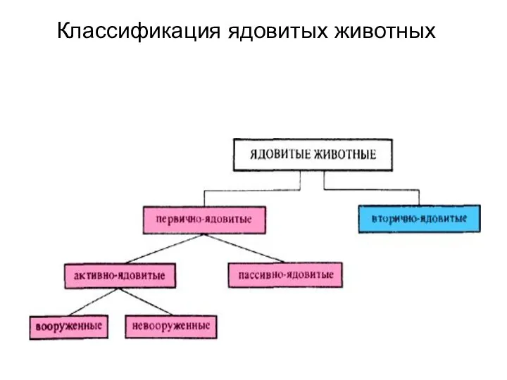 Классификация ядовитых животных