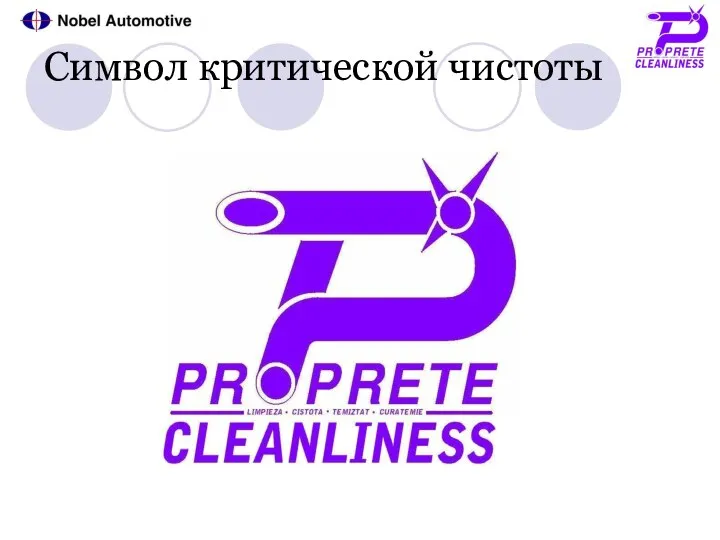 Символ критической чистоты