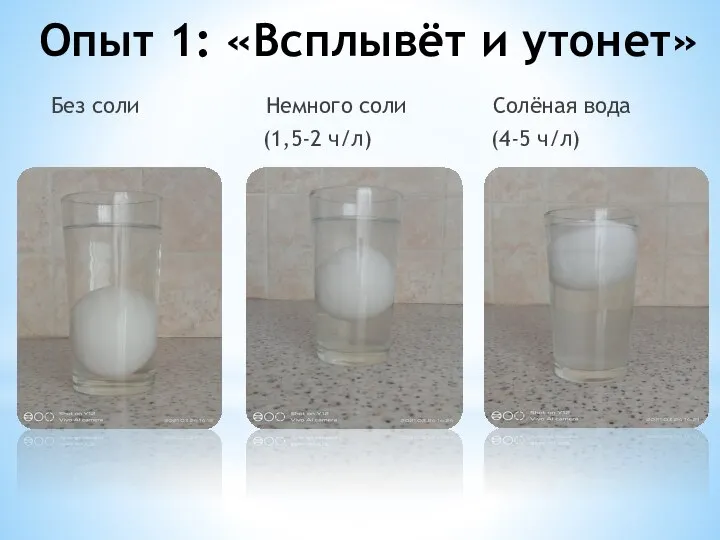 Опыт 1: «Всплывёт и утонет» Без соли Немного соли Солёная вода (1,5-2 ч/л) (4-5 ч/л)