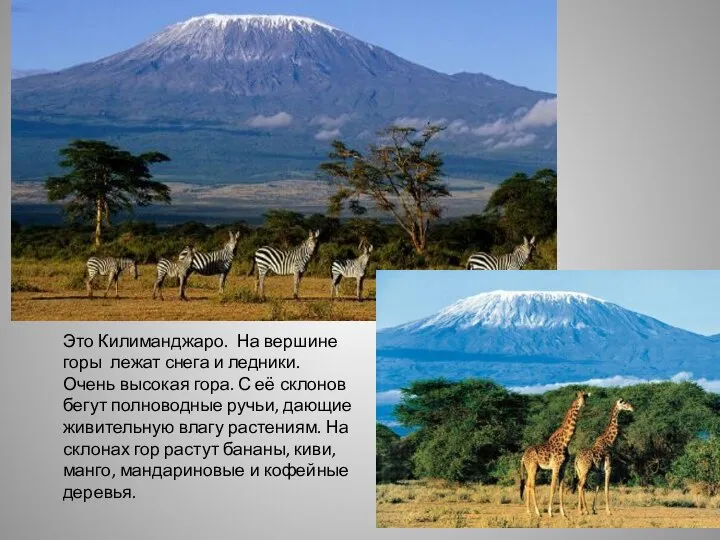 Это Килиманджаро. На вершине горы лежат снега и ледники. Очень высокая гора.