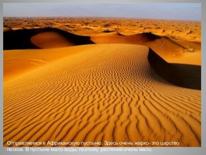 Отправляемся в Африканскую пустыню. Здесь очень жарко- это царство песков. В пустыне