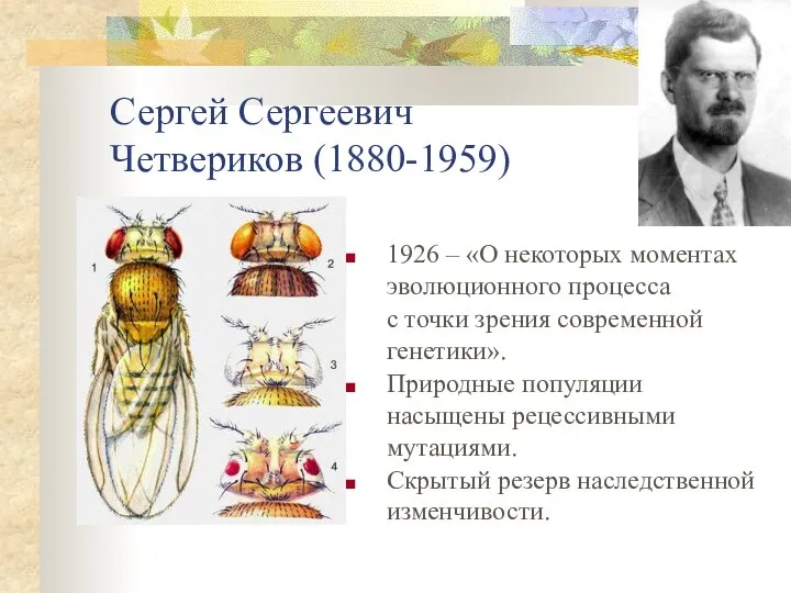 Сергей Сергеевич Четвериков (1880-1959) 1926 – «О некоторых моментах эволюционного процесса с