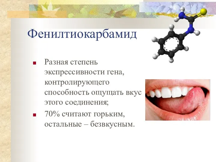 Фенилтиокарбамид Разная степень экспрессивности гена, контролирующего способность ощущать вкус этого соединения; 70%