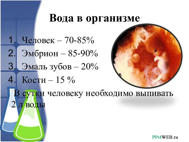 Вода в организме Человек – 70-85% Эмбрион – 85-90% Эмаль зубов –