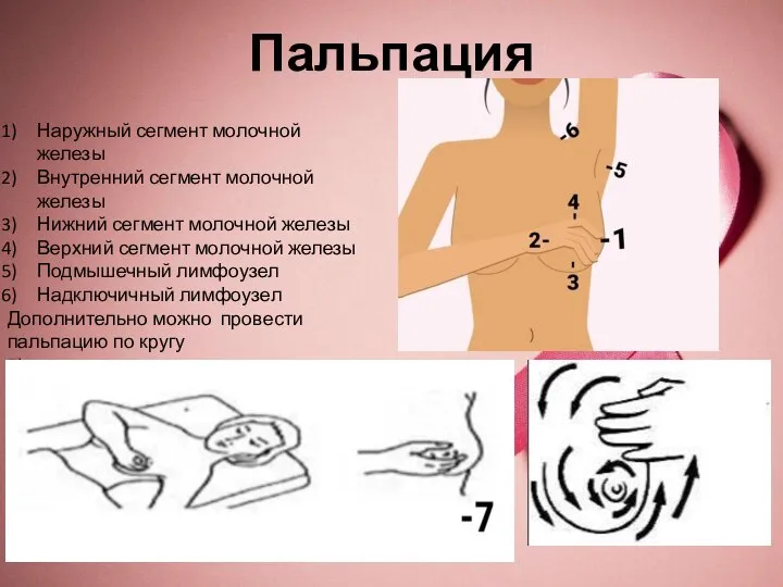 Пальпация Наружный сегмент молочной железы Внутренний сегмент молочной железы Нижний сегмент молочной