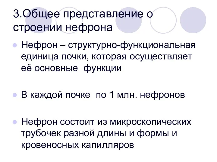 3.Общее представление о строении нефрона Нефрон – структурно-функциональная единица почки, которая осуществляет