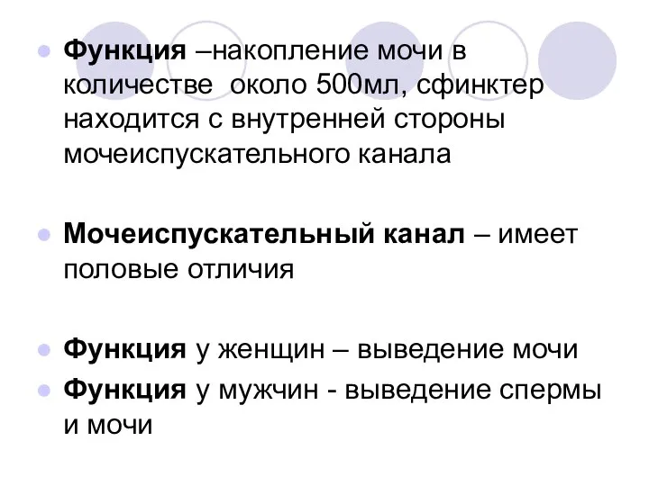 Функция –накопление мочи в количестве около 500мл, сфинктер находится с внутренней стороны