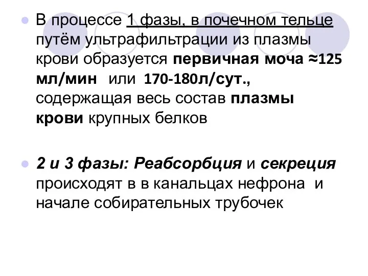 В процессе 1 фазы, в почечном тельце путём ультрафильтрации из плазмы крови