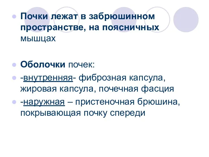 Почки лежат в забрюшинном пространстве, на поясничных мышцах Оболочки почек: -внутренняя- фиброзная