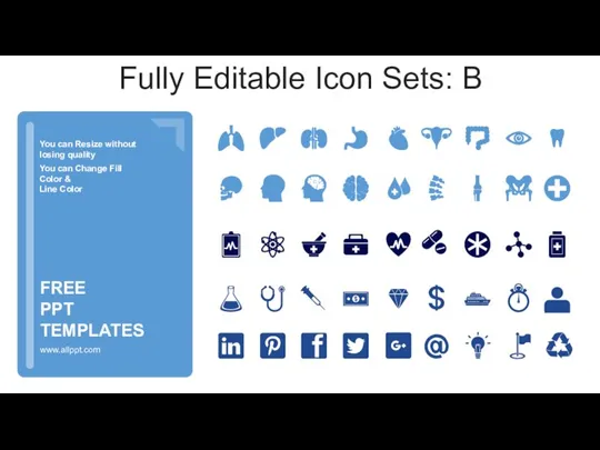 Fully Editable Icon Sets: B