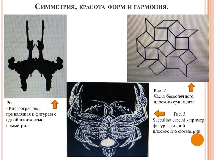 Симметрия, красота форм и гармония. Рис. 1 «Кляксография», приводящая к фигурам с