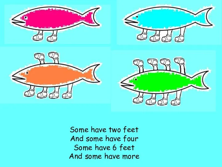 Some have two feet And some have four Some have 6 feet And some have more